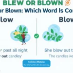 Blew or Blown