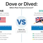 Dove or Dived