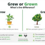 Grew or Grown