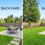 Backyard or Back yard