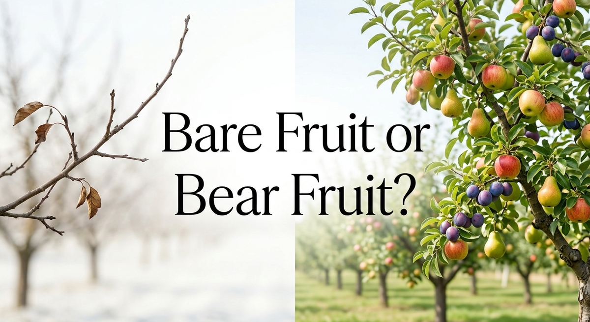 Bare Fruit or Bear Fruit